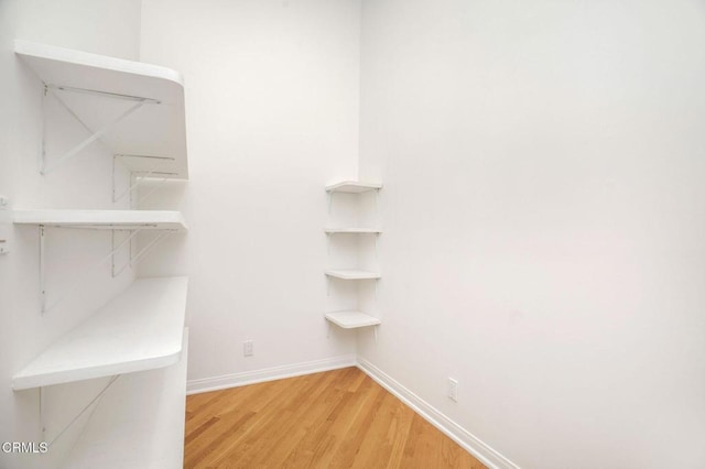 spacious closet featuring wood finished floors