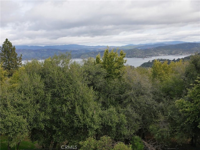 mountain view with a forest view and a water view