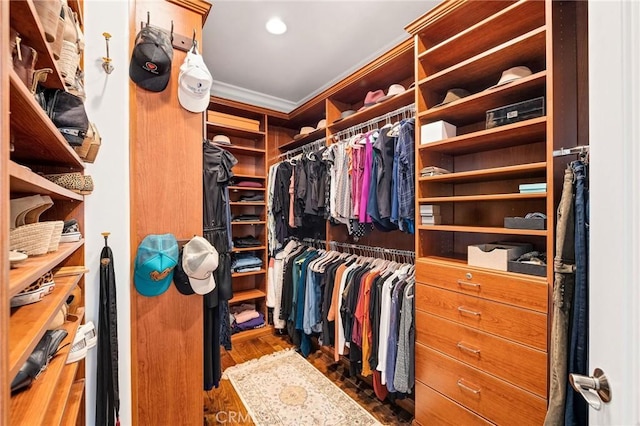 walk in closet with wood finished floors