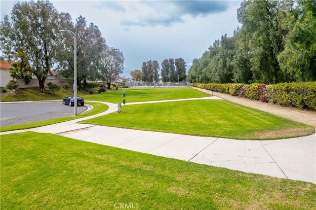 view of property's community with a yard