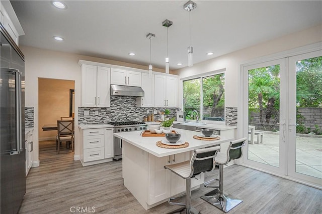 kitchen featuring premium appliances, under cabinet range hood, light countertops, light wood-type flooring, and backsplash