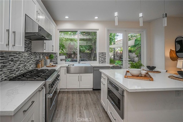 kitchen featuring tasteful backsplash, light wood-style flooring, appliances with stainless steel finishes, under cabinet range hood, and a sink