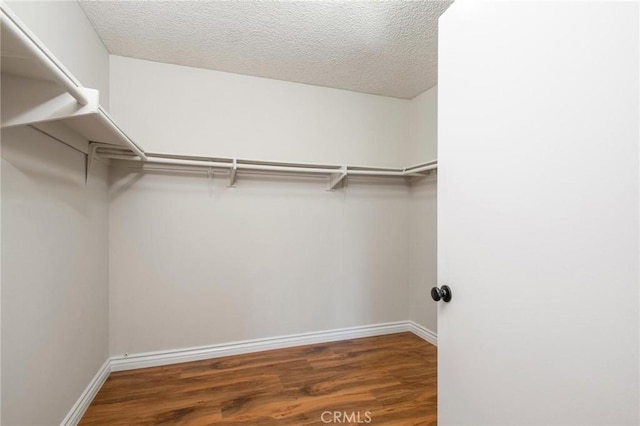 walk in closet with dark wood-style flooring