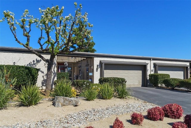 view of front of home with driveway, a garage, and stucco siding