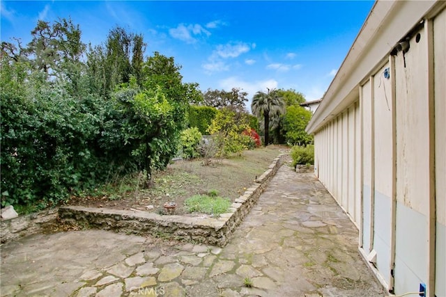 view of yard with a patio area