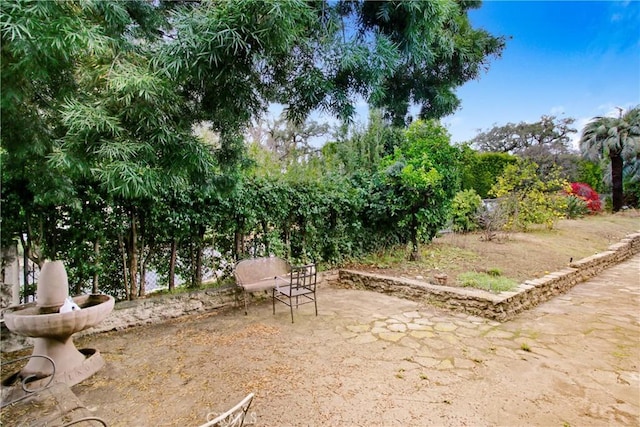 view of yard featuring a patio area