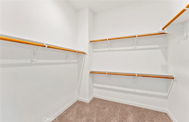 walk in closet with light carpet