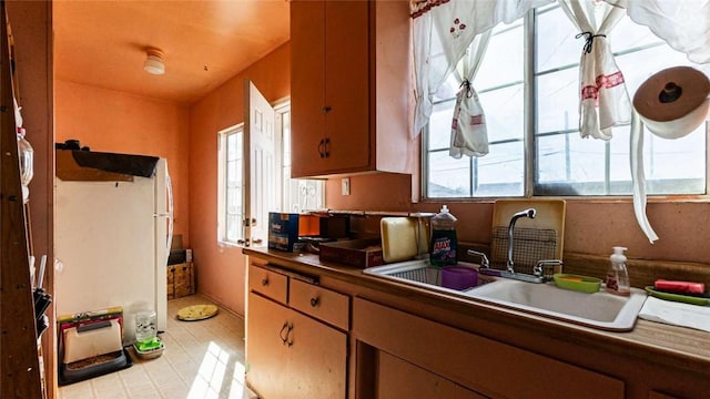 kitchen with freestanding refrigerator, a sink, dark countertops, and light floors