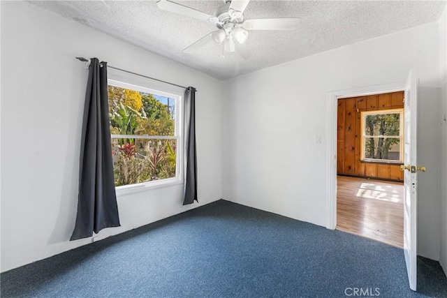 spare room featuring carpet, ceiling fan, and a textured ceiling