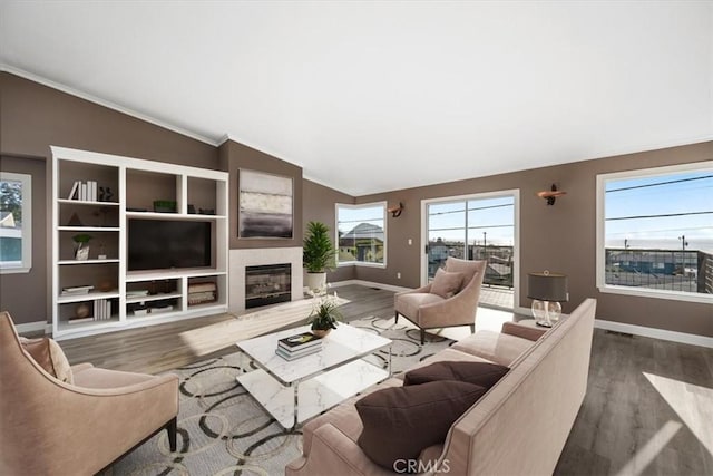 living room with a glass covered fireplace, vaulted ceiling, and wood finished floors