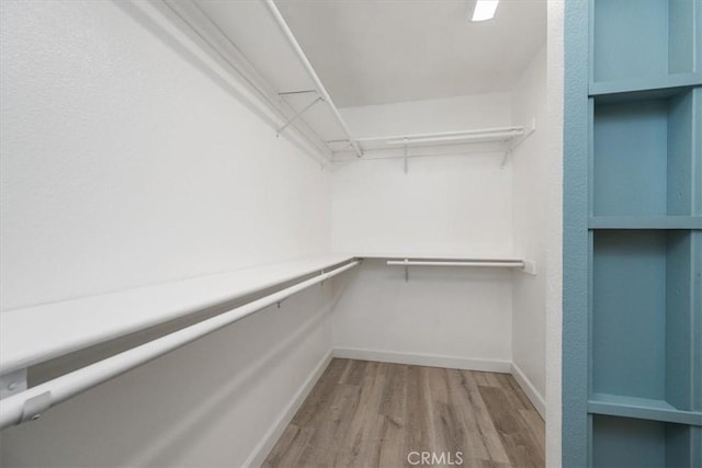 walk in closet with light wood finished floors