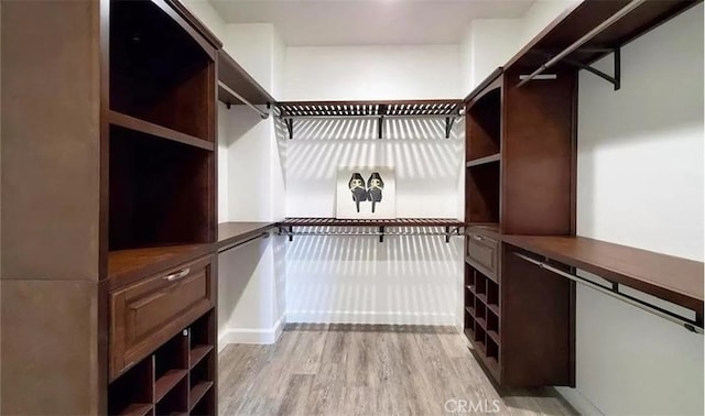 spacious closet featuring light wood-type flooring