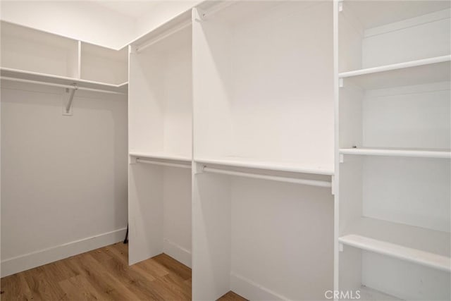 walk in closet with wood finished floors