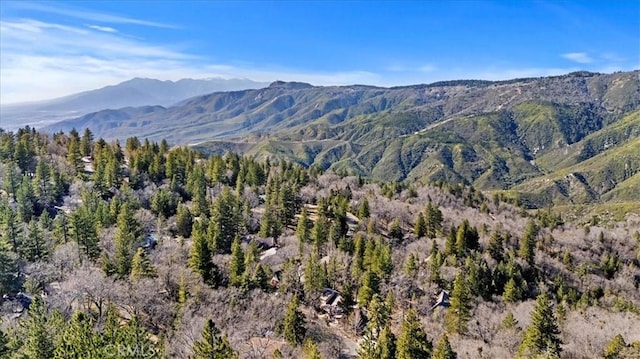 view of mountain feature featuring a wooded view