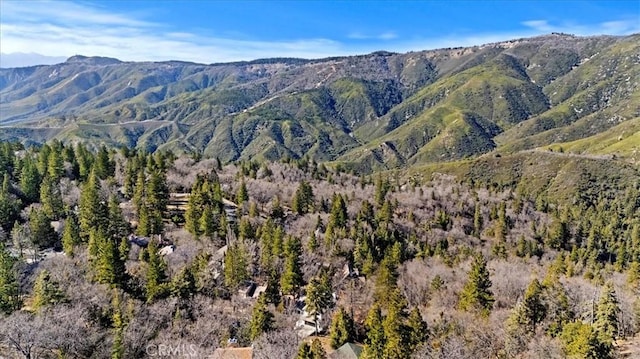 mountain view with a view of trees