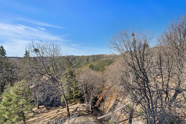 30260 Gremlin Ct, Running Springs, CA 92382 - view of mountain background