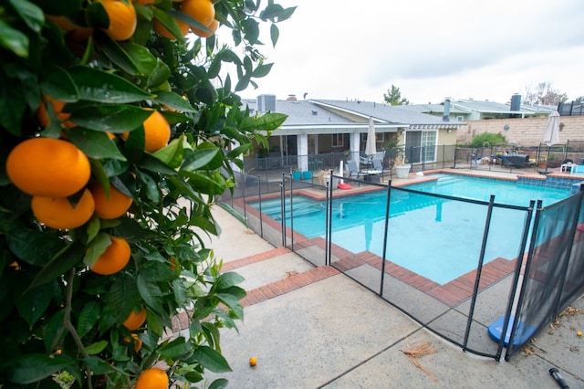 view of swimming pool with a patio, fence, and a fenced in pool