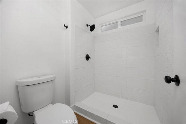 bathroom with a stall shower and toilet