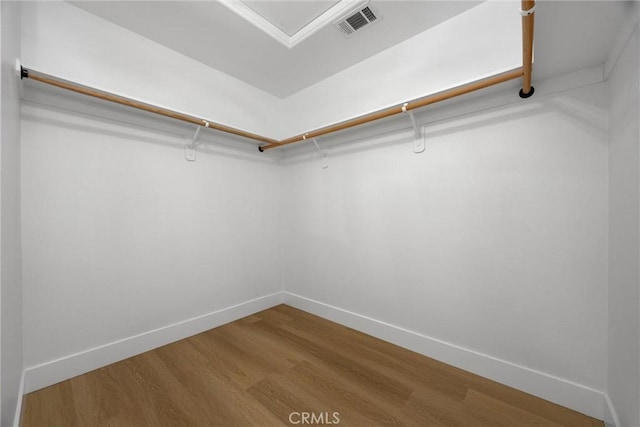 spacious closet featuring visible vents and wood finished floors