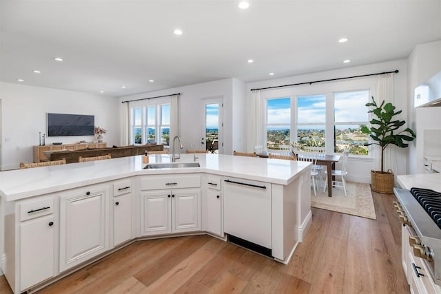 kitchen with light wood-style floors, a healthy amount of sunlight, white dishwasher, and a sink