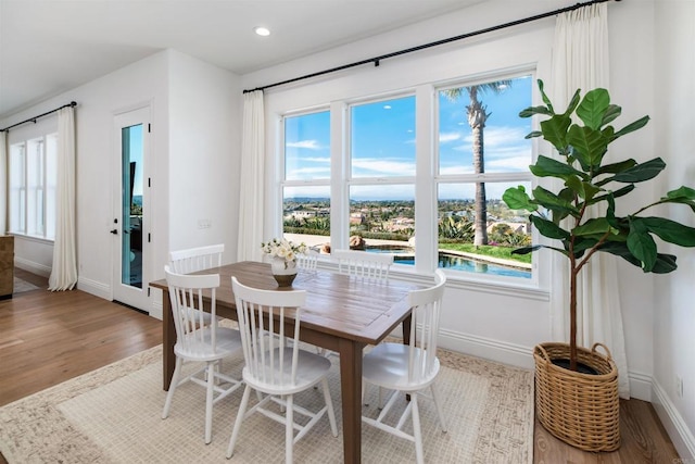 dining space with baseboards, a wealth of natural light, and wood finished floors