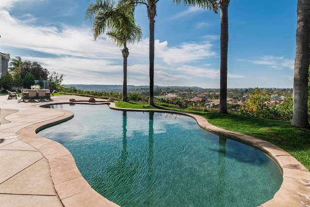 view of pool with a patio area and outdoor dining space