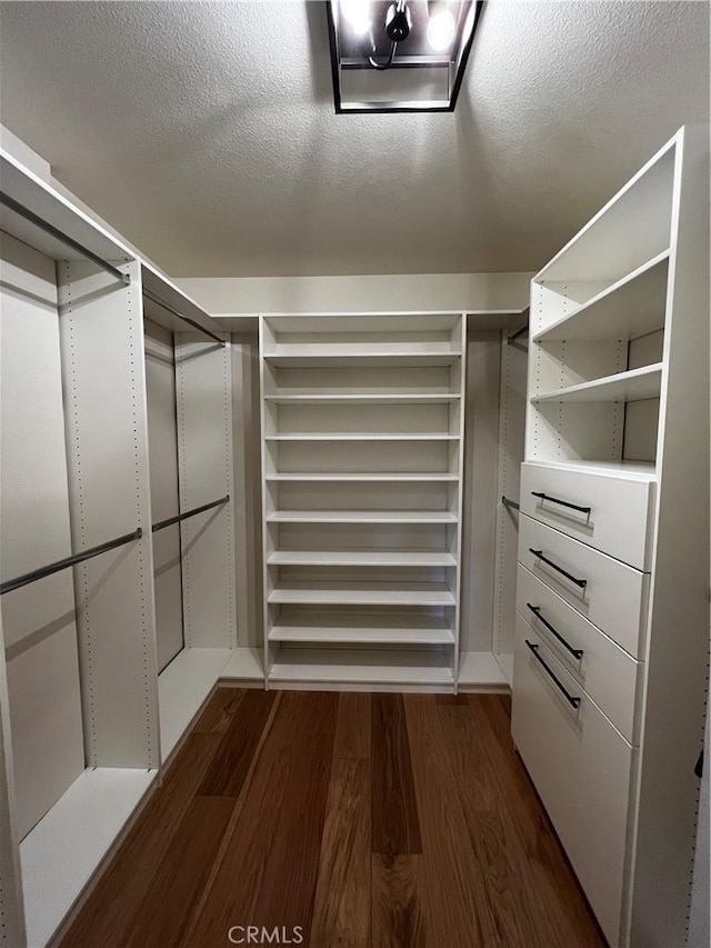 walk in closet with dark wood-style floors