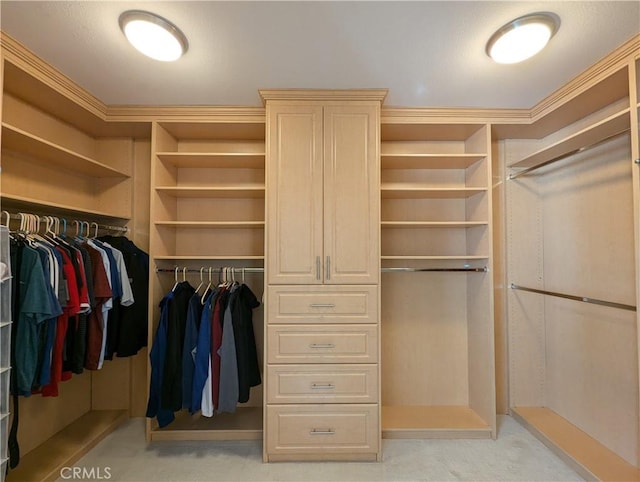 spacious closet featuring light colored carpet