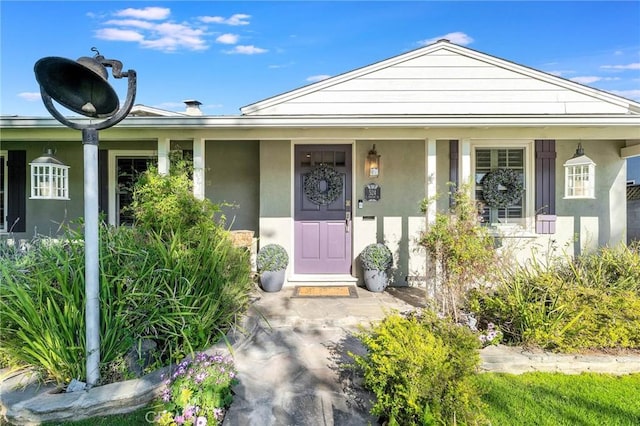 entrance to property featuring stucco siding