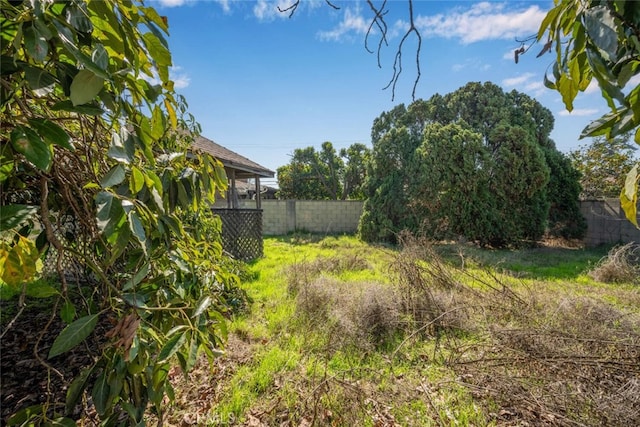 view of yard featuring fence