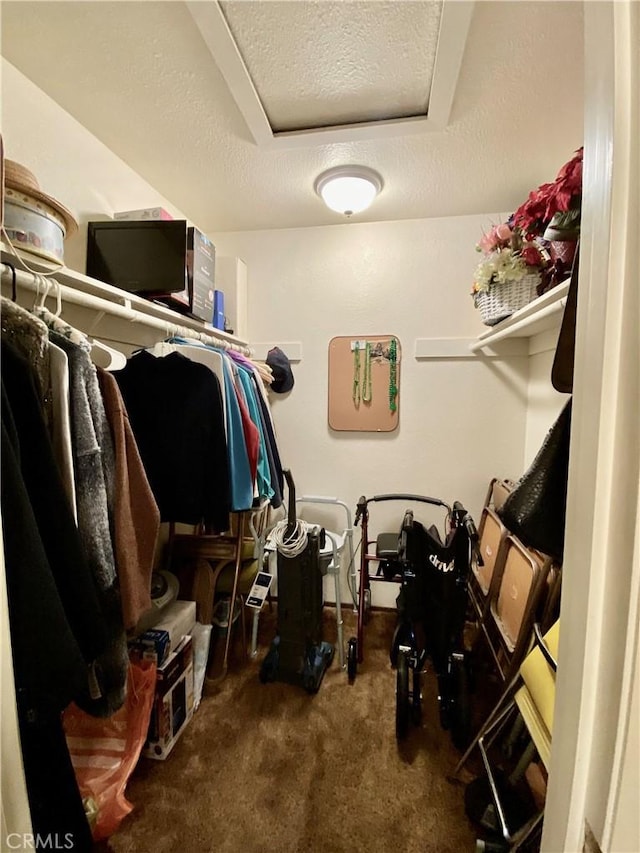 spacious closet with carpet floors, a tray ceiling, and attic access