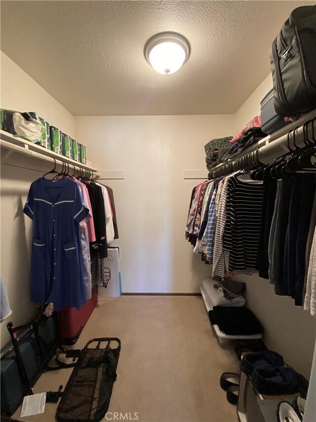 spacious closet with carpet floors