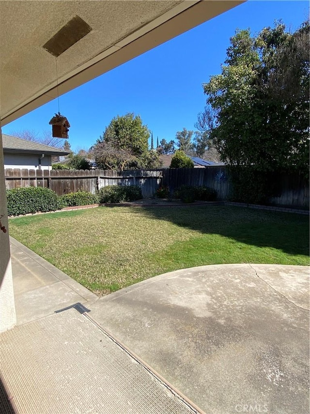view of yard featuring a fenced backyard and a patio