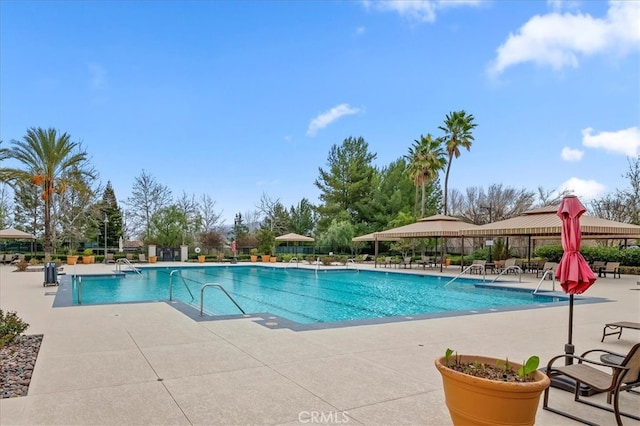 pool featuring a patio