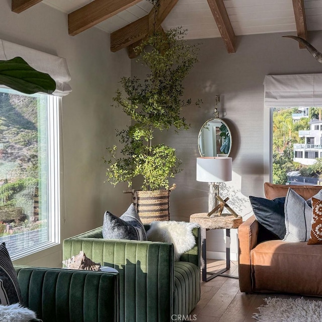 interior space featuring beam ceiling, a healthy amount of sunlight, and wood finished floors