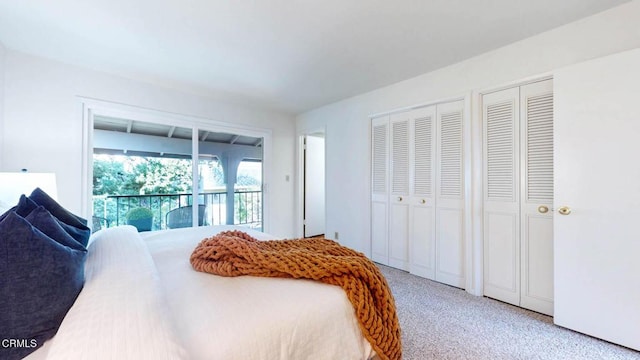 bedroom featuring carpet and multiple closets