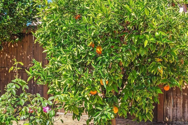 exterior details with fence