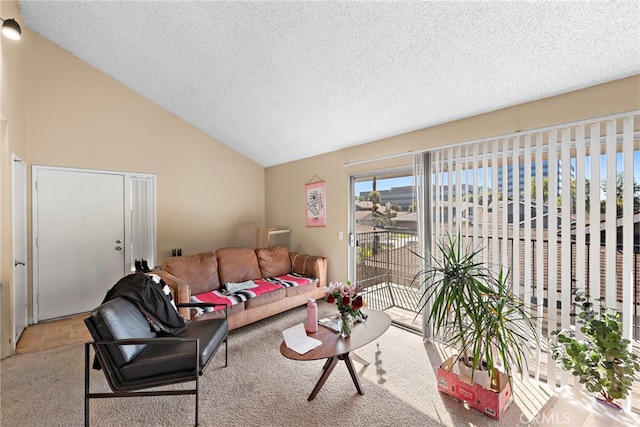 living area featuring lofted ceiling, a textured ceiling, and carpet flooring