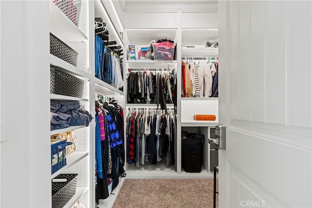 walk in closet with carpet floors