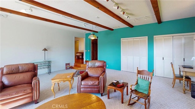 living area with carpet floors, beam ceiling, and track lighting