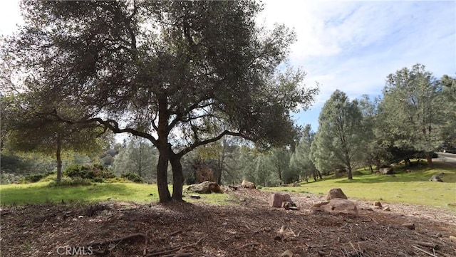 Listing photo 3 for 4641 Hawaina Way, Kelseyville CA 95451