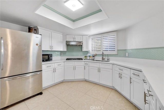 kitchen with appliances with stainless steel finishes, a tray ceiling, light countertops, under cabinet range hood, and a sink