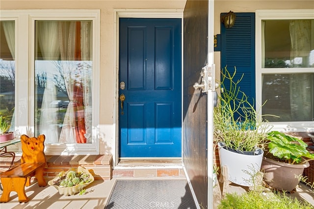 doorway to property featuring covered porch