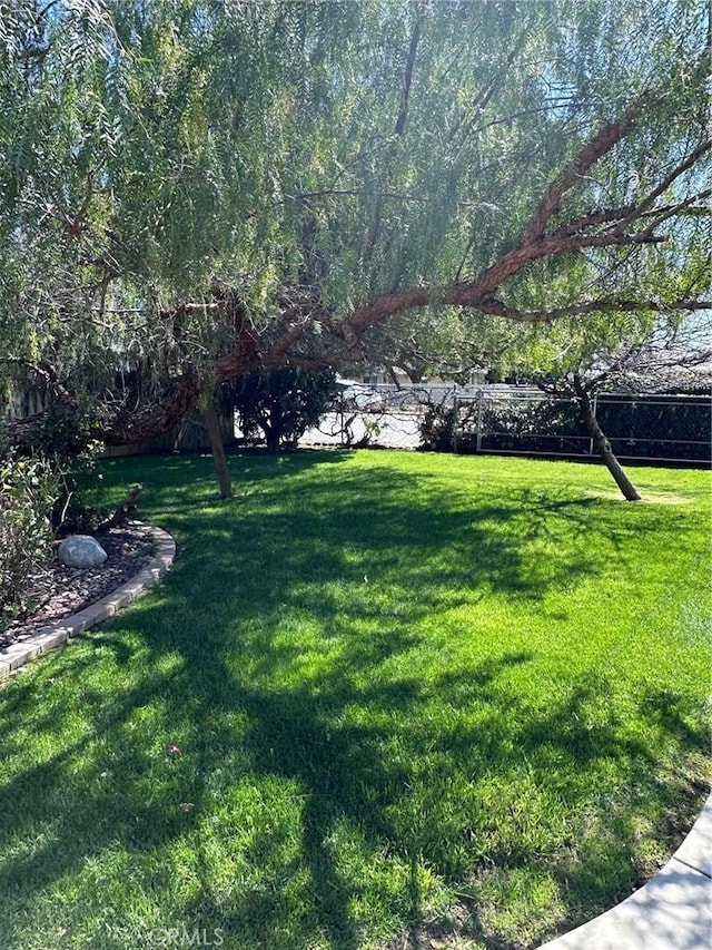 33518 Colorado St, Yucaipa, CA 92399 - view of yard