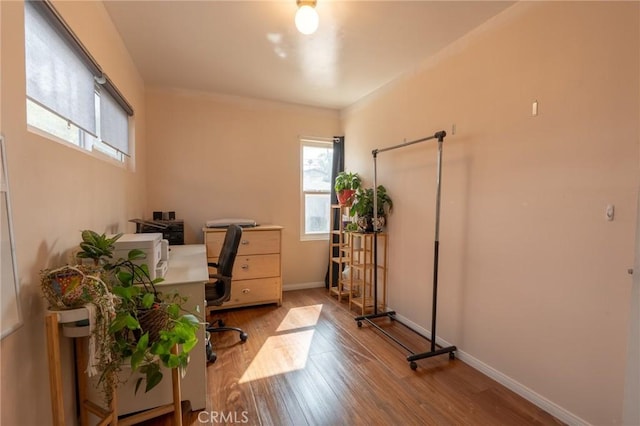 office with baseboards and wood finished floors