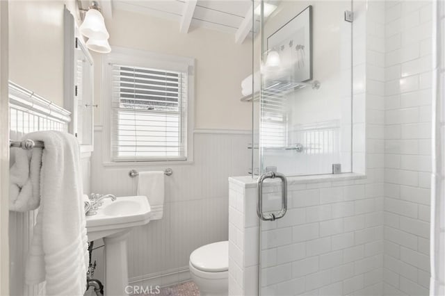 full bathroom featuring toilet, a wainscoted wall, a shower stall, and a sink