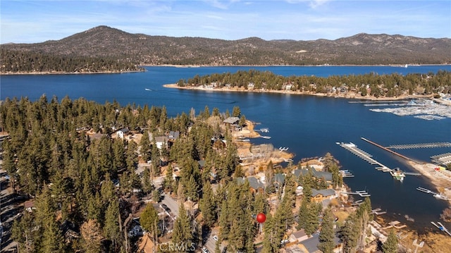 property view of water featuring a mountain view