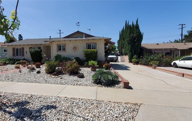 view of front facade featuring concrete driveway and stucco siding