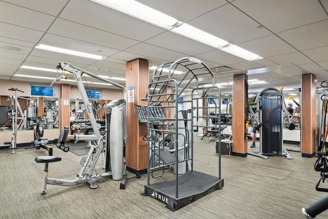 exercise room featuring a paneled ceiling and carpet flooring