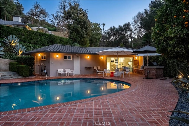 view of swimming pool with exterior kitchen and a patio area